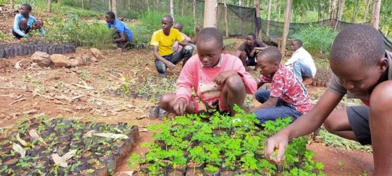 we empower youth& children for sustained environmentat conservation