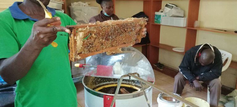 wifoma honey processing unit