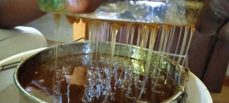 wifoma organic honey